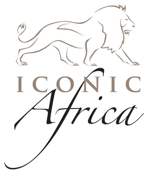 iconic africa logo