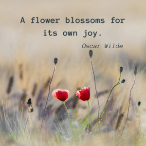 quote Oscar Wilde