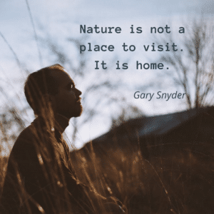 short quote nature