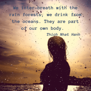 quote Thich Nhat Hanh