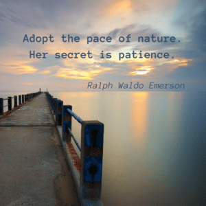 quote Emerson Adopt the page of nature